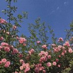 [ㅈㄱㄴ] <b>enfp</b> 질문 받음 ㅎㅎ