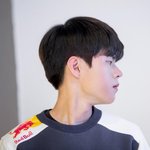 귀여운 <b>알파카</b>