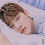 황민현 만인의 눕픽 아니냐