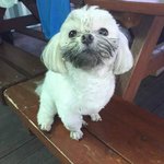 결국 <b>ebs</b> 서버 터졌넹