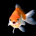 [댓글부탁해] 아악 가정학습 ㄹㅇ 개빡침