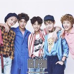 [NCT] 시즈니들이 애지중지 키운 드림이들