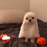 <b>Ebs</b> 온클 못해먹겠음