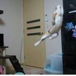 [드루와] __ 수학 <b>개노답</b> ㅇㅈ?