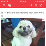 내가 엄마한테 로제파스타 만들어줬는데