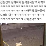 [드루와] 너네 무슨말투가 <b>젤</b> 싫어