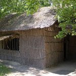 [이것좀봐줘] 일본의 산케베츠 식인 불곰 사건