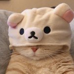 [댓글부탁해] <b>회색</b>후집 칼하트랑 나이키중에 어디가 더 이쁨