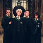 [드루와] 와 해포 <b>팬시</b>파킨슨 원래이렇게예뻤냐