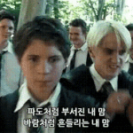 [드루와] <b>ISTP</b>는 없냐ㅠㅠ