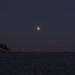 [ㅈㄱㄴ] 내가 여쿨이라니까 친구가 니가? ㅇㅈㄹ했었음