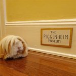 직접 꾸민 갤러리에 오신 <b>산발</b> 손님