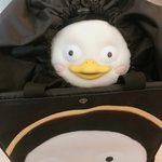 [댓글부탁해] <b>펭수</b> 가방에 <b>펭수</b> 인형 넣음