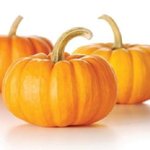 [19] <b>호박</b>얘기해줘! 고추얘기 시즌2