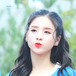<b>미모</b> <b>꽃</b>이 활짝, 피었습니다!