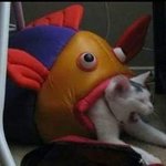 [추반] 이 짤 웃<b>김</b>/별로 3<b>탄</b>