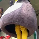 [댓글부탁해] 펭수 다리 보일때 나만 <b>동심</b>파괴되냐