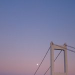 [댓글부탁해] 나는 필요없어 수많은 전화번호