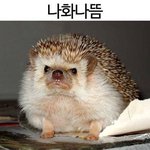 방금 꿈 레전드로 <b>억울</b>했다 ..