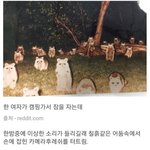 방이랑 배<b>란다</b>랑 이어저있는 사람들의 억울함