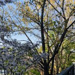 ㅅㅂ 오늘 고모네 <b>집</b> 갔는데 <b>집</b>보고 현타 ㅈㄴ<b>옴</b>