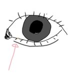 <b>내</b> <b>눈</b> 왜이러냐