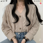 [19] 추반하고가
