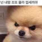 [댓글부탁해] <b>중딩때</b> 인맥관리하는거 어떻게생각해