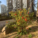 @##밤샐까말까#@@