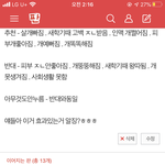 [19] 나짭아닌데 돼<b>지련</b>들아 ㅋㅋㅋㅋㅋ