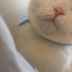 얘들아 지금 날씨에 <b>반팔</b> 반바지 어때