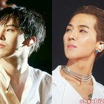 [모두드루와] 완전 소나무여서 신기한 <b>YG</b>취향