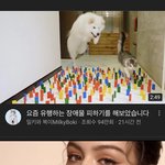 와 <b>밀키</b>와 복이 미쳣다