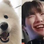[강다니엘] 딱 봐도 같은 <b>새럼</b>