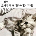 [댓글부탁해] 얘들아 너네 하고 싶은일이 <b>사</b>주랑 <b>안</b> 맞다면 어쩔...