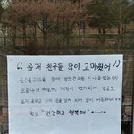 피자 먹어 <b>말아</b>