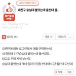 [드루와] 내친구 숭실대 붙었는데 울산대 감..