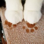 얘<b>등아</b> 박진영 비닐바지를 이을 레전드 나옴