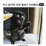 [드루와] 근데 빅뱅이라는 그룹은 진짜