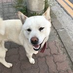 여드름 연고 전 후!!(혐 주의)