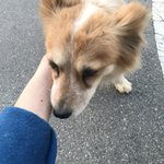 아까 여드름 연고 전후 올렸던 쓰닌데 나 연고 바르기 전 역대급...