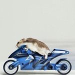 [댓글부탁해] <b>rm</b> 공중부양