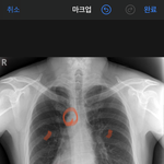 <b>니</b>네도 <b>몸</b> 이래..?