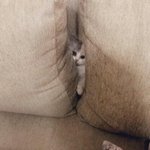 [드루와] 헐 얘들아 교육부 9월 학기제 실시 발표 예정이래 !...