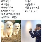 [강다니엘] 대쟝 대쟝! 왜 요즘은 강어지 나라에 <b>오지</b> 않는거야?