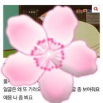 [댓글부탁해] 응 미안해 이 짤 안올릴게 <b>글</b><b>삭</b> 하지마