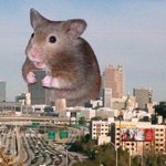 [댓글부탁해] <b>역사</b> 좋아하는 친구들아