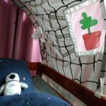 [ㅈㄱㄴ] 내 침대 완전 <b>아늑</b>하다