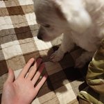 [ㅈㄱㄴ] 내 짝남 너무 귀여워 ㅠㅜㅜㅜㅜㅜ