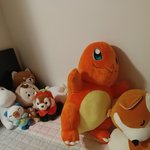 우리집 인형들좀 구경하고가..